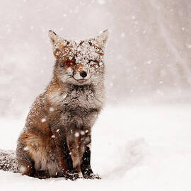 Roeselien Raimond