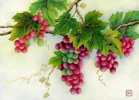 Grapes